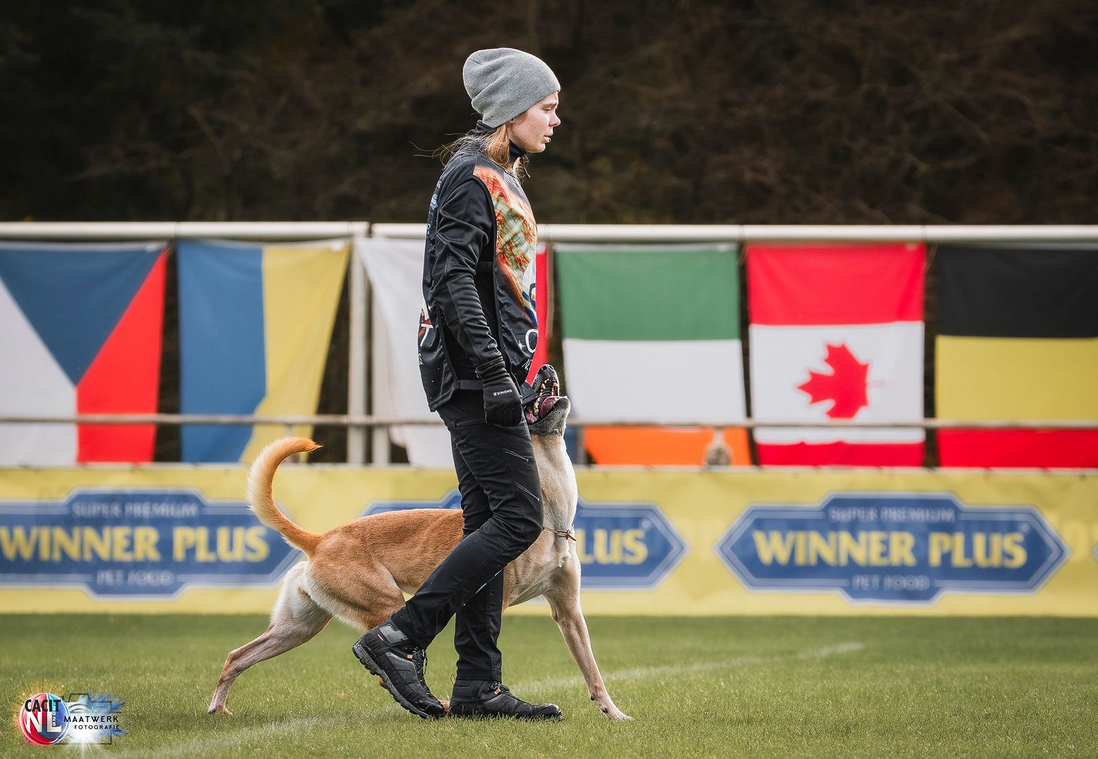 Dog call to action